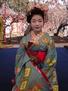 A Maiko * 1536 x 2048 * (1.34MB)